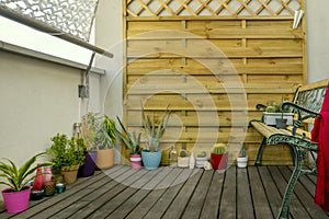 Plants, cactus, colored candles, decorative objects, wooden latticework, wooden bench and terrace flooring in teak wood for a photo