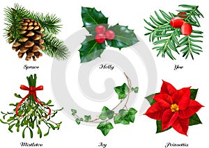 Plants, Christmas decorations. Spruce, holly, yew, mistletoe, ivy, poinsettia. 3d realistic vector set