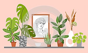 Plants composition. Houseplants vector illustrations. Urban jungles. Plants are friends.