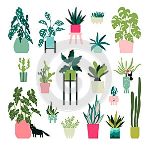 Plants compositions. Vector collection of home plants