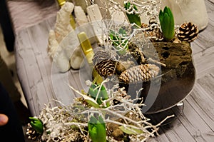 Plants with decorations