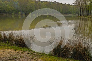 Bukovnisko jezero in Prekmurje photo