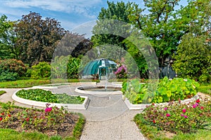 Plants flourishing at botanical garden in Zagreb, Croatia photo