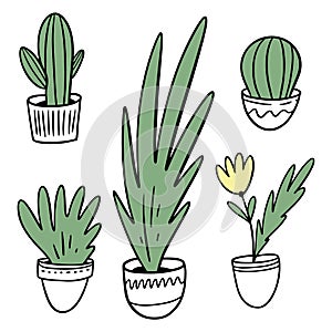 Plants and flower in white pots. Set vector illustration in cartoon style