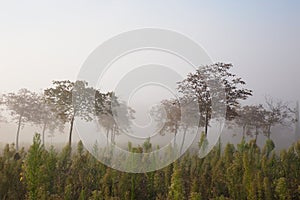 Impianti un nebbia 