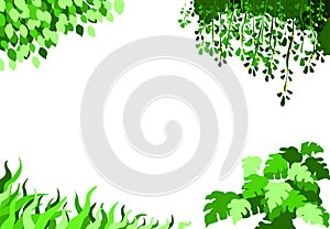 Plants and forests trees garden plants vectors for background decoration