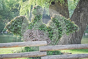 Plants Formed to Look Like a Bird at the Zoo