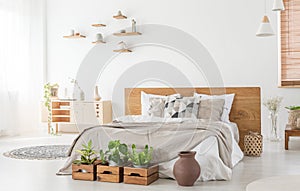 Plants in front of bed with headboard in white bedroom interior with vase and cupboard. Real photo