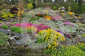 Plants garden