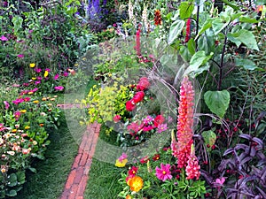 Plants in a garden