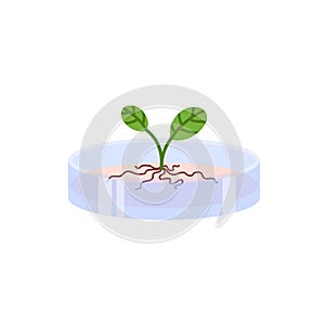 Plants genetic modification and bioengineering flat vector illustration isolated.