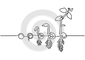 Plants grow isolated on white background or plant seed, growing and cultivation with one line drawing style vector illustration.
