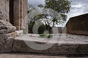 Plants growing between the ashlars of the entrance stairs to the church of our lady of the assumption in TarancÃ³n, Cuenca, Spain