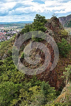 Plants growing on cliff over Bad Munster