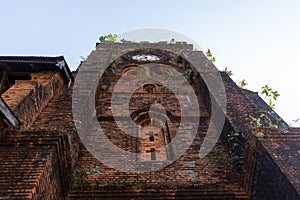 Plants growing in the clock tower of the catholic St. Matthew`s church. The first English Church Anglican Church built in