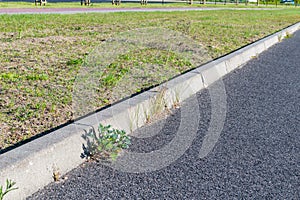 Plants growing at the curb on the road