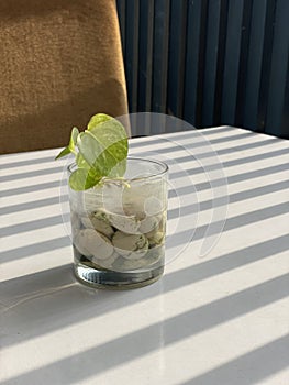 plants growing in drinking glasses