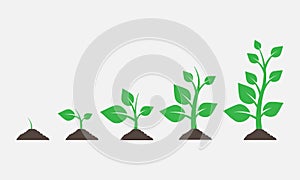Plants growing in the ground. Vector illustration.