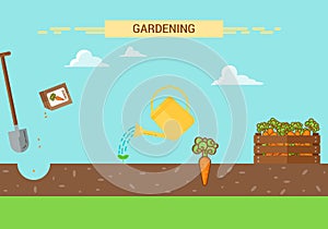 Plants Growing infographic with planting process of carrot. Four stages of growing.