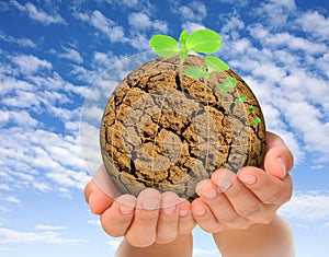 Plants growing out of parched planet in hands