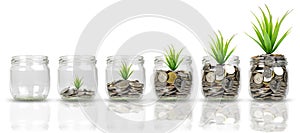 Plants growing on stacks of coins in glass jars isolated on white background. Money, saving, bussiness and investment concept.