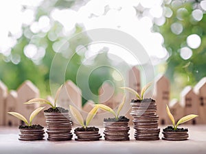 Plants growing up on stack of coins