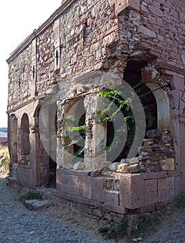 Plants grown inside the old church ruins