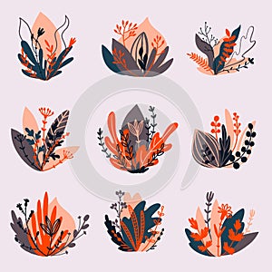 Plants and herbs. Set of color illustrations on gray background background