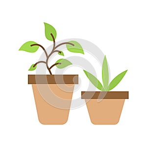 Plants icon vector image.