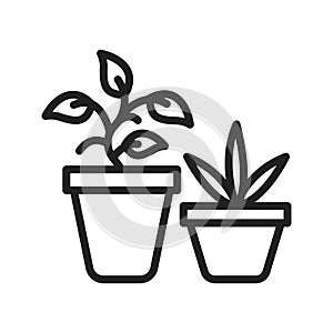 Plants icon vector image.