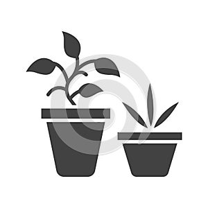 Plants icon vector image.