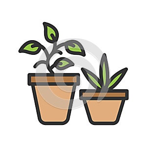 Plants icon vector image.