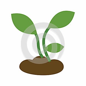 Plants icon vector image.