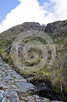 Plants on the Inca Trail to Machu Picchu. A awesome hiking trail