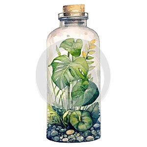 plants inside bottle watercolor