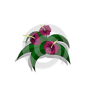 Plants in isometric style. Cartoon tropical bush with purple flowers. Isolated image of jungles nature