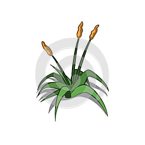 Plants in isometric style. Cartoon tropical bush with yellow flowers. Isolated image of jungles nature