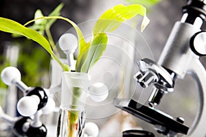 Plants and laboratory