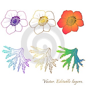 Plants line gold vectors. Collection set of botanical design elements of flowers, buds. Gradient beautiful fill of elements.