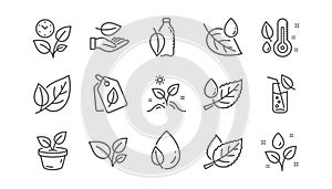 Plants line icons. Leaf, Growing plant and Humidity thermometer. Linear icon set. Vector