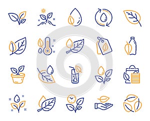 Plants line icons. Set of Leaf, Growing plant and Humidity thermometer icons. Vector