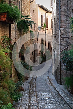 Plants lining the narrow street in Umbria