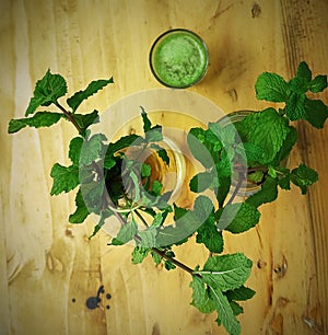 Plants mint drinks table water