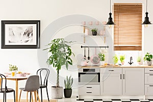 Plants next to chairs and table in grey kitchen interior with pi