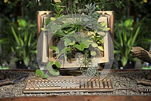 Plants overgrowing an old computer