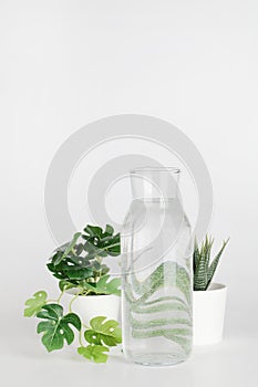 Plants in pots distorted through water in bottle on white background. Home decor, eco friendly, relax concept