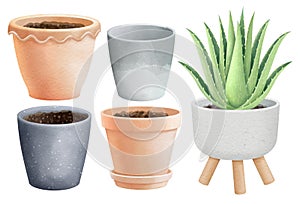 plants in pots watercolor style