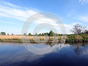 Plants, river and beautiful cloudy sky, Lithuania