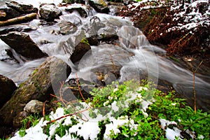 Plants, rocks, snow and river