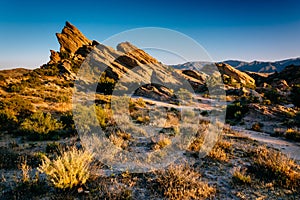 Plants and rocks at Vasquez Rocks County Park, in Agua Dulce, Ca photo